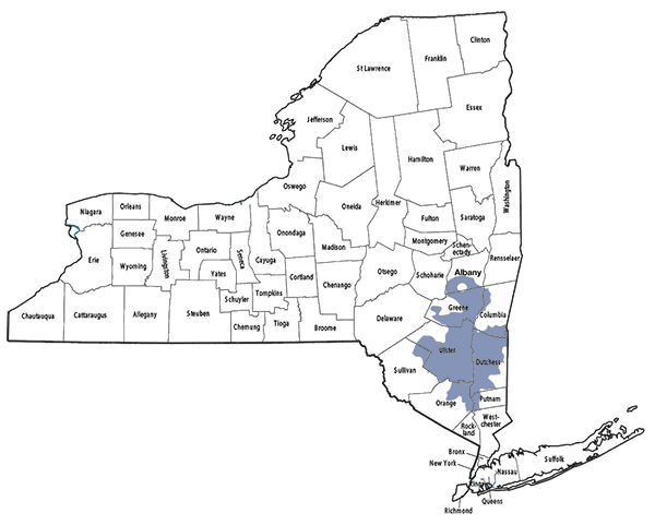 Shop Central Hudson's Cheap Electric Rates